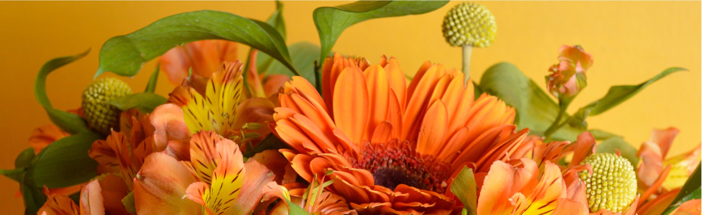 Bouquet de temporada